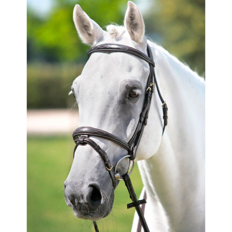 Trense mit Tattini-Stirnriemen und besticktem Halfter