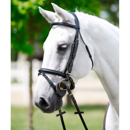 Trense mit gepolstertem Tattini-Kopfstück, Stirnriemen und Halfter