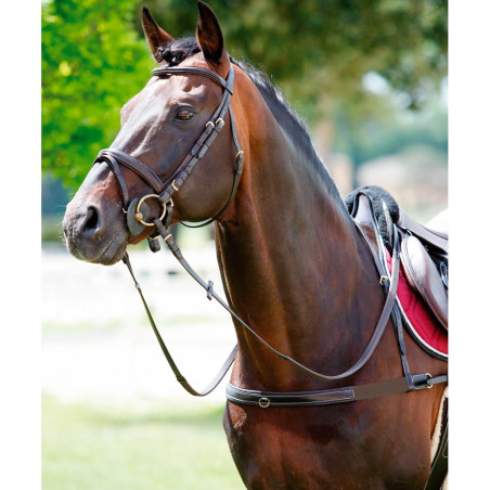 Tattini Martingal mit elastischem, abnehmbarem Halsriemen