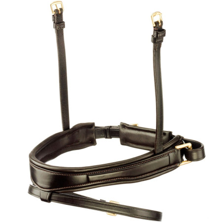 Geformtes und gepolstertes Tattini-Nasenriemen