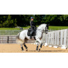 LeMieux Suede Dressage Square Reflective - Schwarz