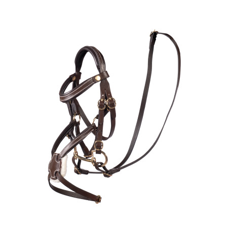 Mexikanisches HKM-Hobby-Horse-Zaumzeug