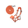 Halfter mit Fleece HKM Hobby Horse - Orange