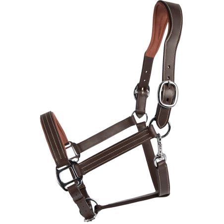 Anatomisches Signature by Antares Lederhalfter