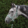 Anbindestrick Lami-Cell Midnight - Olive