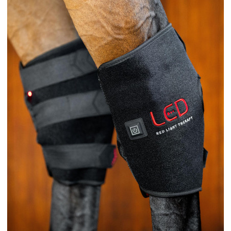 Horseware LED-Rotlicht-Therapie-Sprunggelenkschutz