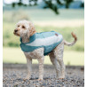 Horseware Newmarket Fleece-Decke für Hunde - Witney-Dynastie
