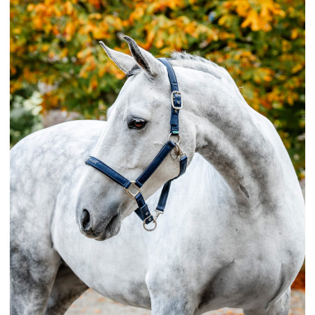 Horseware-Putzhalfter