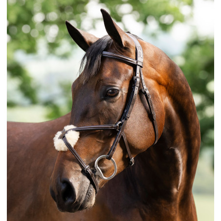 Grackle-Zaumzeug in 8-Form Horseware Kreuznasenriemen