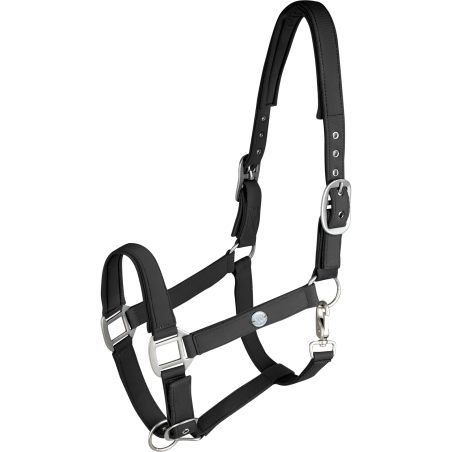 Waldhausen Trinidad Halfter