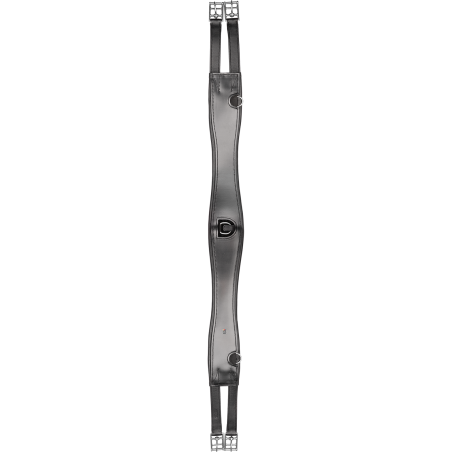 Sleek Waldhausen Ledersattelgurt