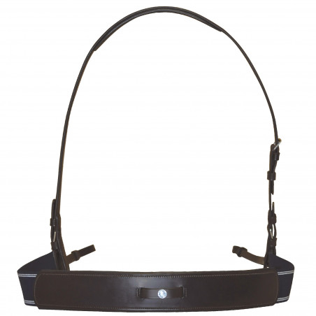 Elastischer Martingal Canter