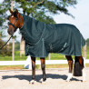 Imperial Riding Paddockdecke Basic mit abnehmbarem Halsteil 300 g - Grün