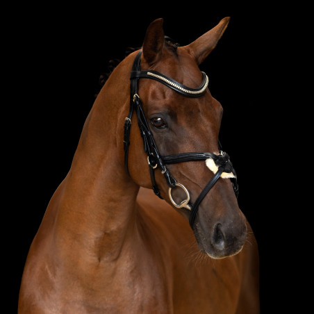 Mexikanisches Reithalfter Imperial Riding