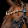 Stirnband Imperial Riding Grande - Bronze