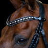 Stirnband Imperial Riding Maxima - Weiß / Schwarz