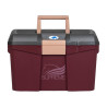 Putzkoffer Umbria Equitazione 168 - Bordeaux / Gold
