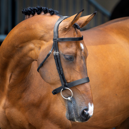 Reithalfter mit Jochriemen Hunter Shires Velociti Lusso