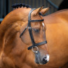 Reithalfter mit Jochriemen Hunter Shires Velociti Lusso - Schwarz