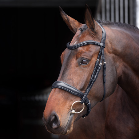 Kandare mit gepolstertem Nasenriemen Elite Shires Velociti Lusso