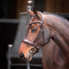 Kandare mit gepolstertem Nasenriemen Elite Shires Velociti Lusso - Havanna