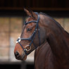 Reithalfter mit Mexikanischem Nasenriemen Elite Shires Velociti Lusso - Schwarz