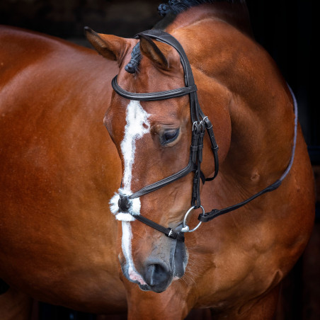 Shires Velociti Rapida Kreuzkombiniertes Reithalfter-Bridle