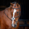 Shires Velociti Rapida Kreuzkombiniertes Reithalfter-Bridle - Havanna