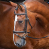 Shires Velociti Rapida Trensenzaum mit gepolsterter, unterlegter französischer Reithalfter - Schwarz