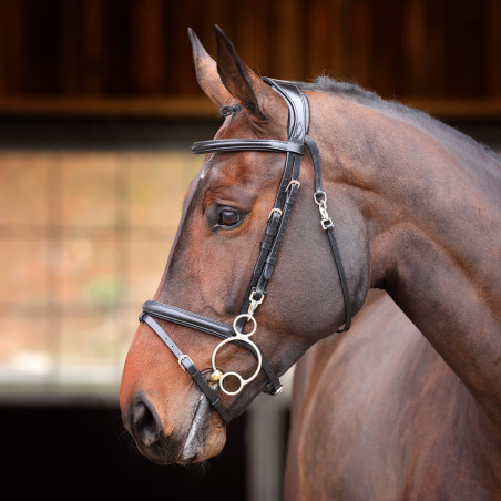 Shires Velociti Rapida Trainingszaum