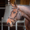 Shires Velociti Rapida Trainingszaum - Havanna