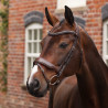 Dressurtrense mit Französischem Reithalfter Opus 180M Shires Velociti Lusso - Havanna