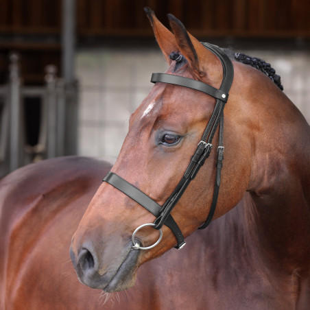 Hunter-Elite-Zaumzeug Shires Velociti Lusso