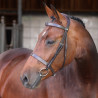 Hunter-Elite-Zaumzeug Shires Velociti Lusso - Havanna
