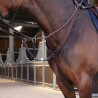 Elastische Martingalgabel Elite Shires Velociti Lusso - Havanna