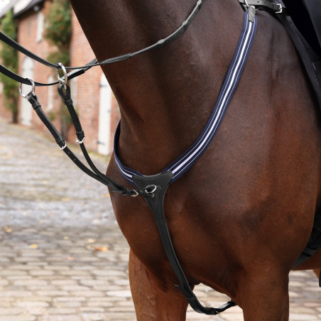 Elastischer Vorderzeugriemen Opus Shires Velociti Lusso