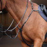 Elastischer Martingalriemen Shires Velociti Rapida - Schwarz