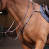 Elastischer Martingalriemen Shires Velociti Rapida - Havanna