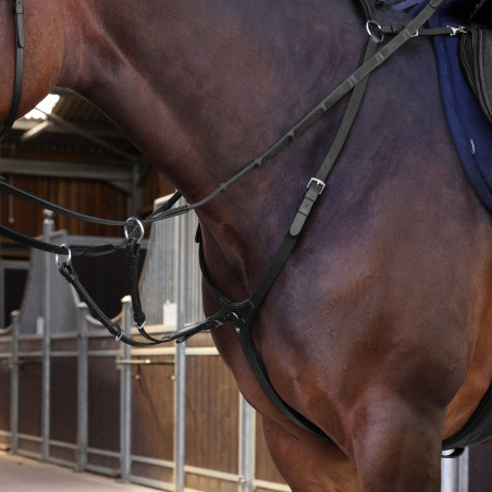 Brustblatt Elite Shires Velociti Lusso