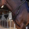 Brustblatt Elite Shires Velociti Lusso - Schwarz
