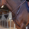 Brustblatt Elite Shires Velociti Lusso - Havanna