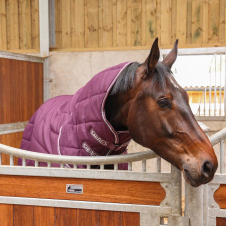 Original 300 Shires Tempest Ganzkörper-Stalldecke