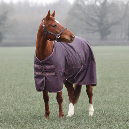 Außendecke 100 Shires Typhoon