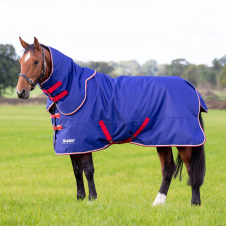 Original 100 Outdoor-Decke + Halsteil Shires Tempest