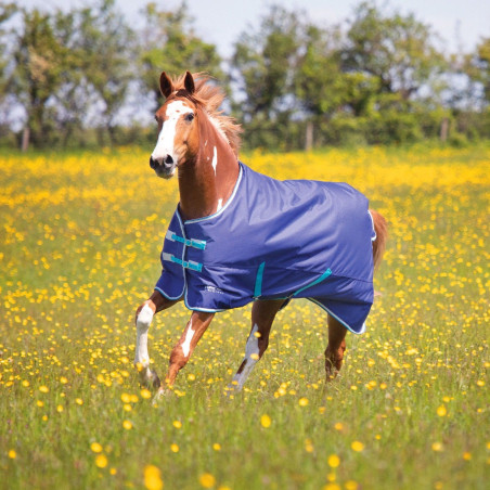 Original 100 Shires Tempest Outdoor-Decke
