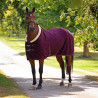 Deluxe Fleece-Decke Shires - Schwarz Kirsche
