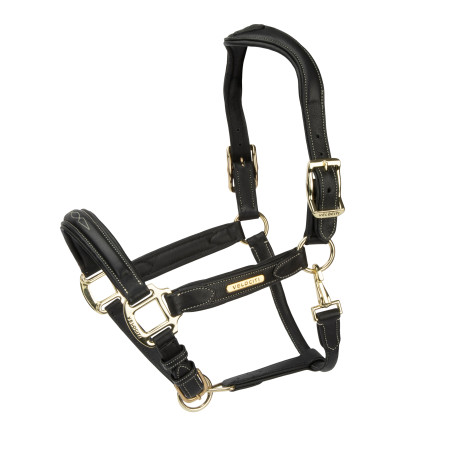 Comfort-Lederhalfter Shires Velociti Rapida