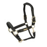 Comfort-Lederhalfter Shires Velociti Rapida - Schwarz