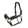 Lorca Lederhalfter Shires Velociti Lusso - Schwarz