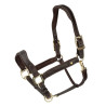 Lorca Lederhalfter Shires Velociti Lusso - Havanna